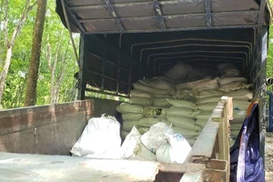  100 tấn bùn thải đổ trộm ra rừng cao su tại Bình Dương