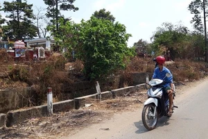 Thi thể người đàn ông đang phân hủy tại nghĩa trang