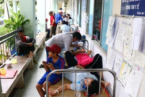 Hàng loạt công nhân đi cấp cứu vì hít phải thuốc diệt mọt