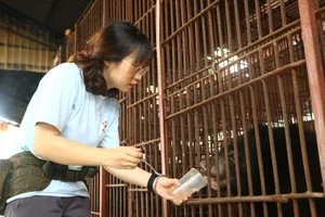 Cứu hộ bảy cá thể gấu bị nuôi nhốt ở Bình Dương, Đồng Nai