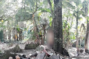 Bình Dương: Người đàn ông treo cổ trên cây me trước nhà