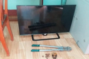 Dùng kềm cộng lực cắt cửa trộm, 2 thanh niên bị bắt