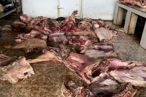 Bình Phước: Ngăn chặn thịt thối, bị dịch tả heo châu Phi