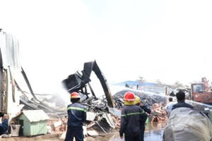 Hai công ty liền nhau ở Bình Dương cháy dữ dội