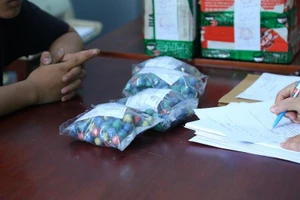 2 thiếu niên chở pháo thuê ở Bình Dương bị bắt giữ 