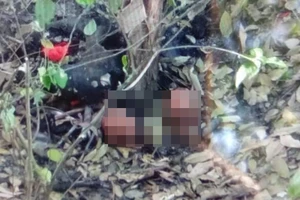 Tây Ninh: Phát hiện 9 bộ xương nghi của người