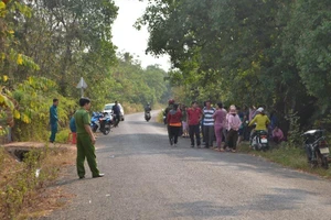 Đánh chết hàng xóm vì con bò xổng vào vườn
