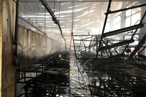 Công ty gỗ ở Bình Dương bị cháy trong ngày làm việc cuối năm