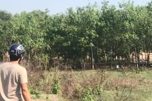 Bình Dương: Một thi thể cháy đen cạnh xe máy có 2 nón bảo hiểm