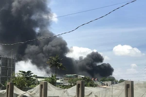 Công ty gỗ tại Bình Dương bốc cháy giữa trưa