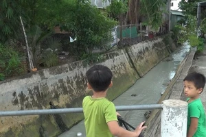 Người dân ngất xỉu vì hít phải mùi độc hại từ suối ô nhiễm