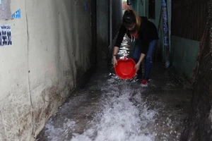 Bình Dương: 40 ha hoa màu và lúa ngập sâu sau trận mưa lớn