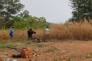  Phát hiện thi thể đang phân hủy trong đám cỏ