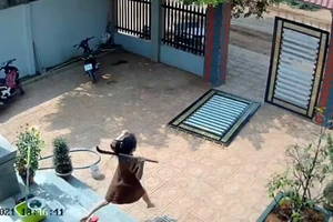 Người vợ đang mang thai tháng thứ 5 vác dao rựa lao ra hỗ trợ chồng bắt trộm. Ảnh: Cắt từ camera an ninh