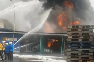Công ty sản xuất sơn tại Bình Dương bốc cháy dữ dội