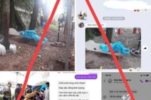 Lên Facebook đăng thông tin quyên góp hỗ trợ COVID-19 sai sự thật