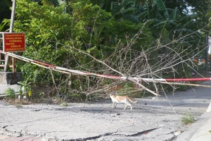 Muôn kiểu rào chắn chống dịch COVID-19 ở Bình Dương