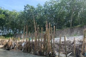 Bình Dương: Người dân kêu cứu vì đất bị sạt lở từng ngày