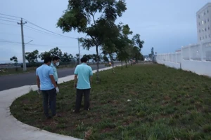 2 người thương vong vì cùng có tình cảm với 1 cô gái