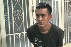 Bắt nghi can sát hại người bán dâm, cướp tài sản 