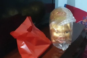 Nữ giúp việc mất tích cùng con heo đất chứa 200 triệu đồng