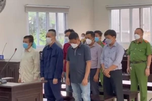 'Cò' đất hùn vốn mở nhiều công ty, lừa khách hàng gần 29 tỉ