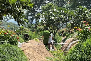 Nam thanh niên chết bí ẩn cạnh ngôi mộ ở Bình Dương