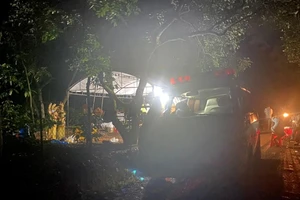 1 người tử vong nghi ngộ độc cá lóc nướng để qua đêm