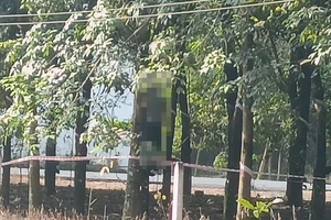 Người đàn ông chết trong tư thế treo cổ trên cây cao su ở Bình Dương