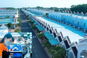 Bình Phước dành 173 ha xây dựng nhà ở giá rẻ cho công nhân