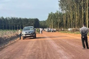 Đập phá ô tô rồi giết chết chủ xe tại rẫy cao su ở Bình Phước