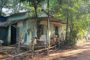 Bình Dương: Thanh tra các dự án treo hàng chục năm