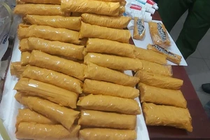 Công an triệt phá đường dây mua bán thuốc lắc ‘khủng’ ở Bình Dương