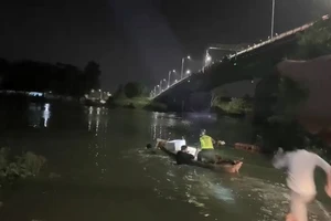 Bình Dương: Bé gái nhiều lần nhảy cầu tự tử đều được công an cứu sống