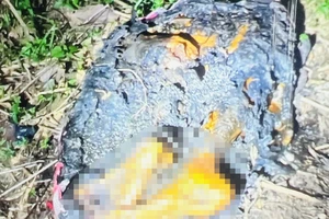 Tình tiết mới vụ 1 phần thi thể bị đốt ở Bình Dương: Nạn nhân không phải nữ