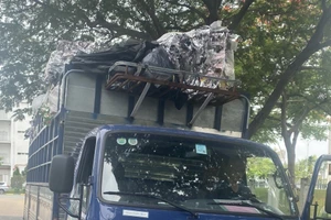 Bình Dương: Phát hiện xe chở chất thải sai quy định