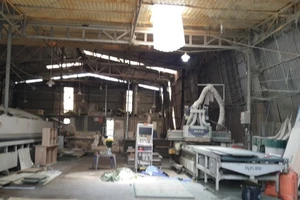 Bình Dương: Một công nhân chết thương tâm khi sửa mái tôn công ty