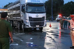 Bình Dương: Vợ chồng tử vong dưới gầm xe tải