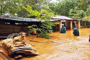 Bình Phước: Dầm mình dưới nước ngập hỗ trợ người dân 