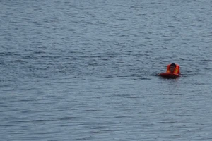 Tập luyện để dự giải đua thuyền, một người mất tích dưới sông Đồng Nai