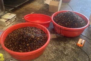 Bình Dương: Phát hiện 1 công ty hô biến ‘nho khô Ấn Độ’ thành ‘nho khô Mỹ’