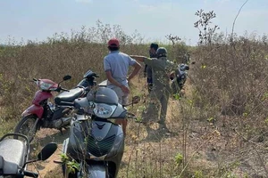 Người đàn ông chết bí ẩn trong rừng cây ở Bình Dương