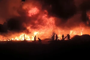 Cháy xưởng palet ở Bình Dương, một góc trời đỏ rực