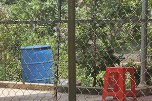 Bình Phước: 1 phụ nữ chết bất thường trong thùng phuy