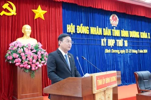 Bình Dương dự kiến thu về hơn 6.700 tỉ từ đấu giá đất công, đất thu hồi