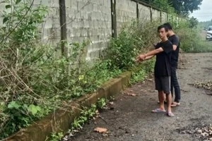 Dùng kéo tấn công cô gái đang đợi bạn để cướp xe máy