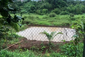 Bình Phước: Bé trai tử vong thương tâm dưới ao nước