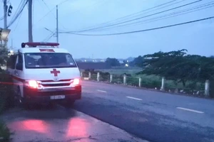 Bình Dương: Công an điều tra vụ thi thể đang phân hủy ở khu đất trống