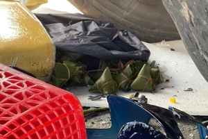 Thương tâm: Người mẹ của hai trẻ song sinh đi giao bánh thì bị nạn