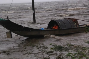Nhiều tàu cá chìm trên vùng biển Đà Nẵng